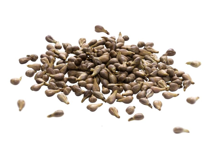 Krém vanovače obsahuje olej z hroznového semen